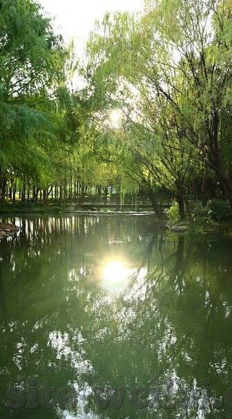 海岛奇兵九游版下载-一场海岛冒险的邀约—— 九游版海岛奇兵下载全解析