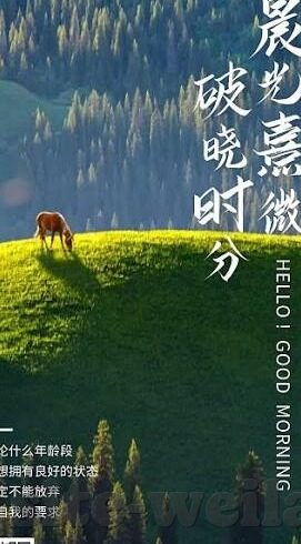 纬来体育