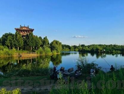 足球比分网分析-深度解析，足球比分网——球迷的智慧导航与数据宝库