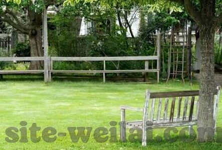 足球竞彩推荐比分-足球竞彩必看，精准比分预测与科学投注策略全解析